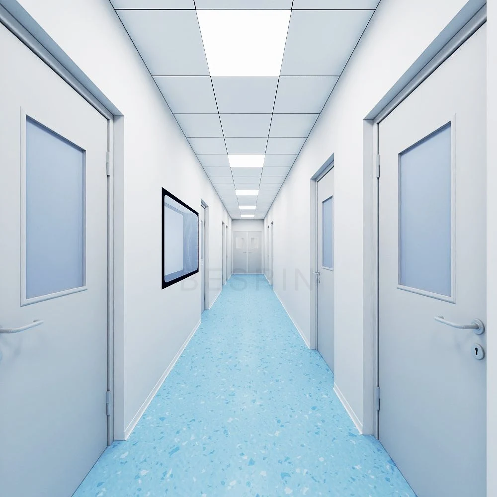 Cleanroom doors and windows, example 1
