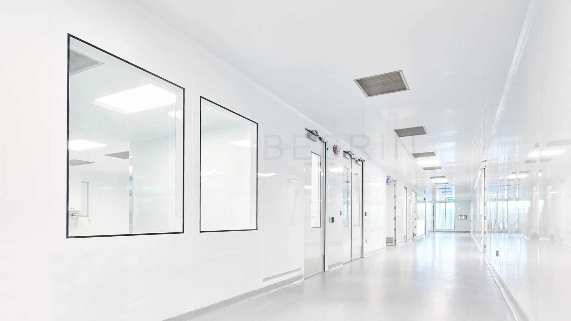 Cleanroom doors and windows, example 2