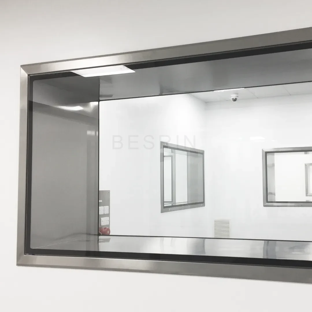 Cleanroom Observation Windows
