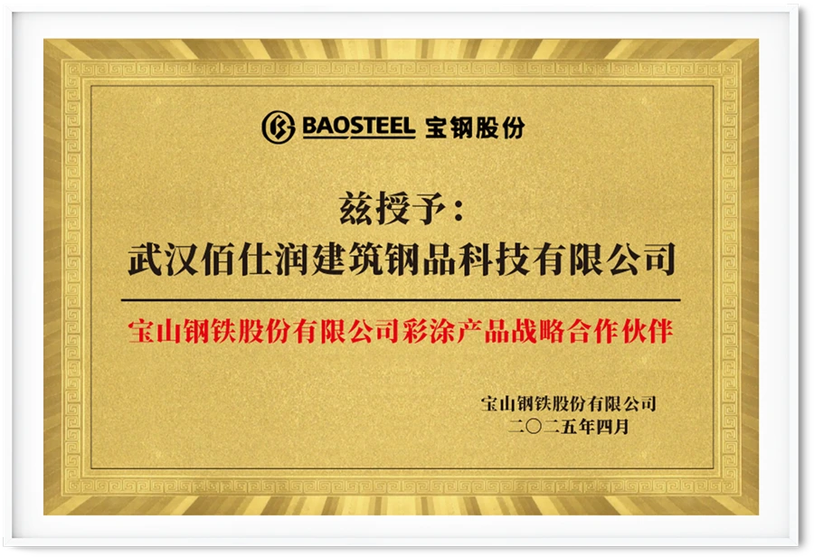 Baosteel Strategic Partner