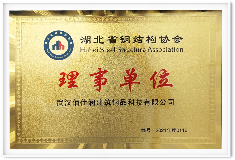 Hubei Steel Structure Association Council Member